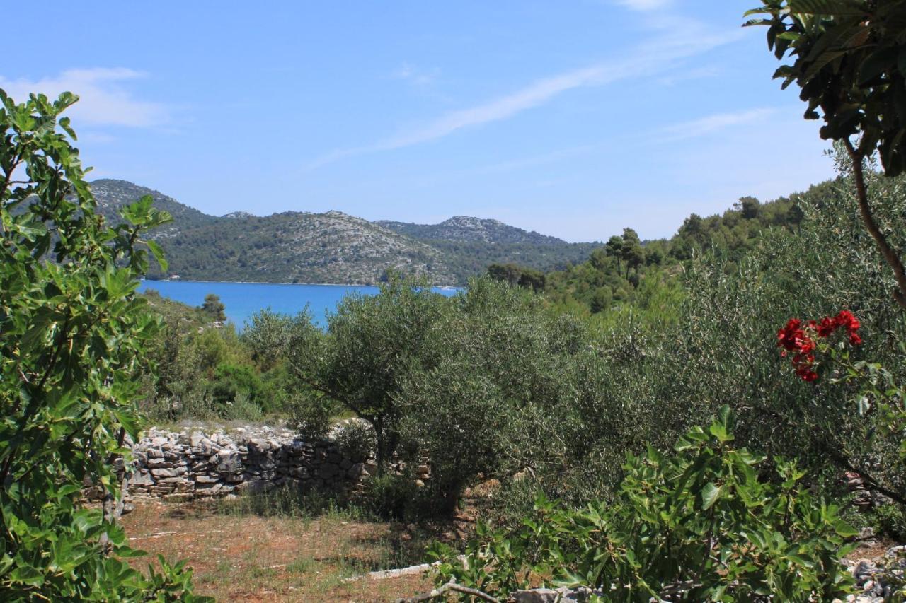 Secluded Fisherman'S Cottage Cove Jaz - Telascica, Dugi Otok - 876 Sali Kültér fotó